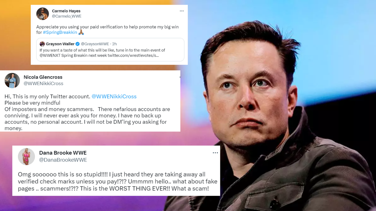 Elon Musk Takes Away Verified Blue Badge On Twitter Wwe Superstars