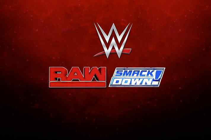 Wwe Raw And Smackdown Now Available Live In Hindi Insidesport