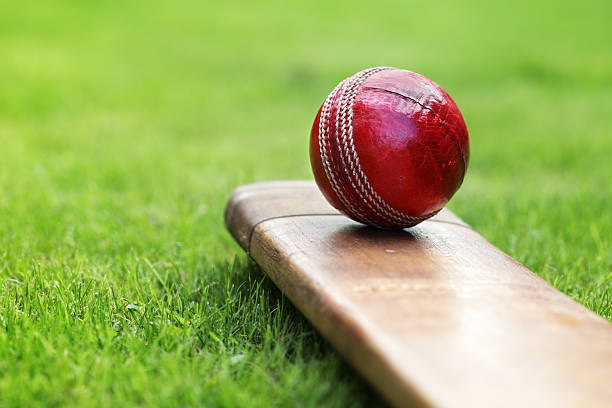 essay on cricket in sanskrit language