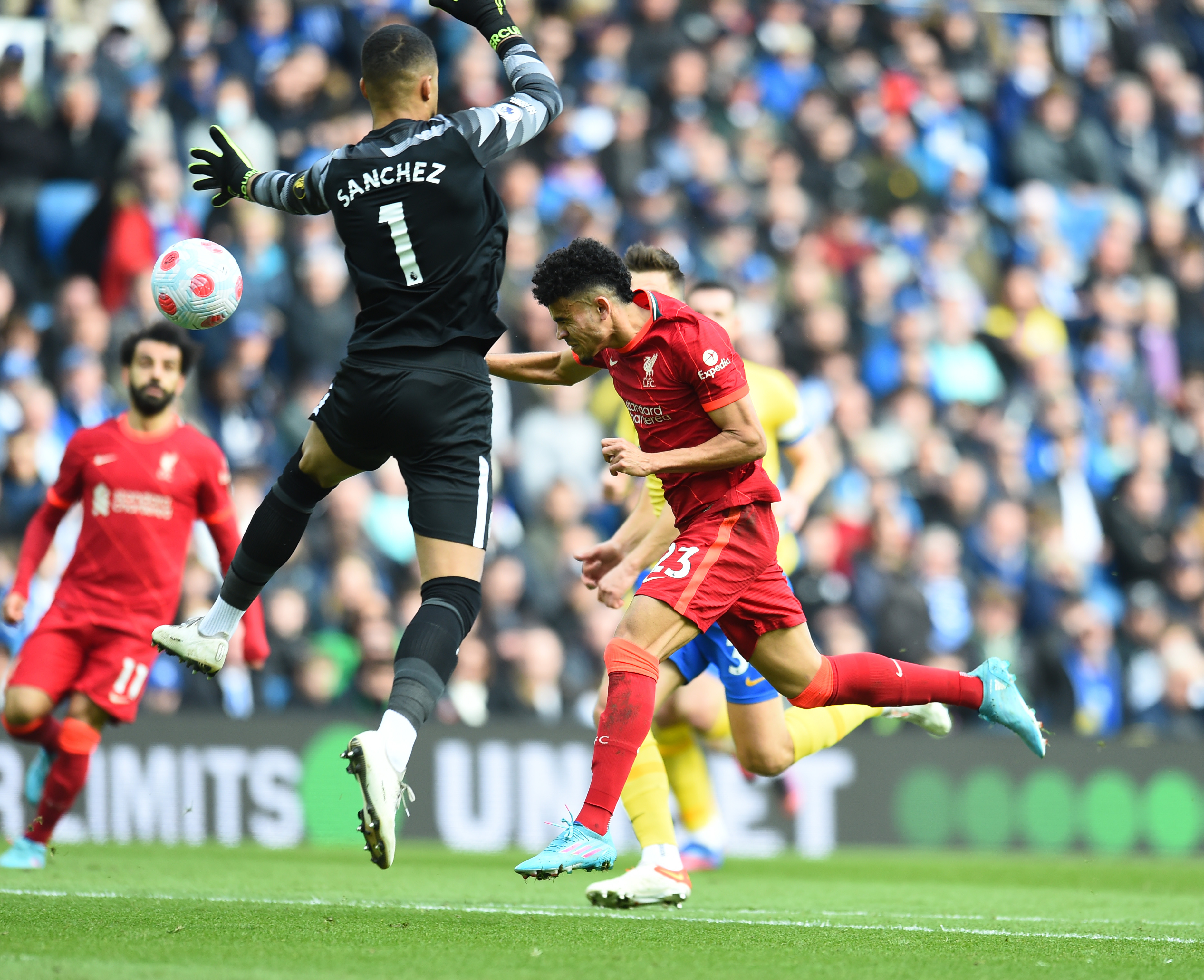 Брайтон Ливерпуль. Liverpool vs Brighton. Angliya Premer ligasi. Liverpool Live.