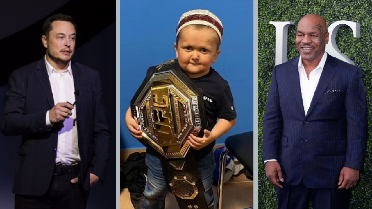 Hasbulla: Mike Tyson And Elon Musk- Ufc Famed 'mini Khabib' Makes A New 