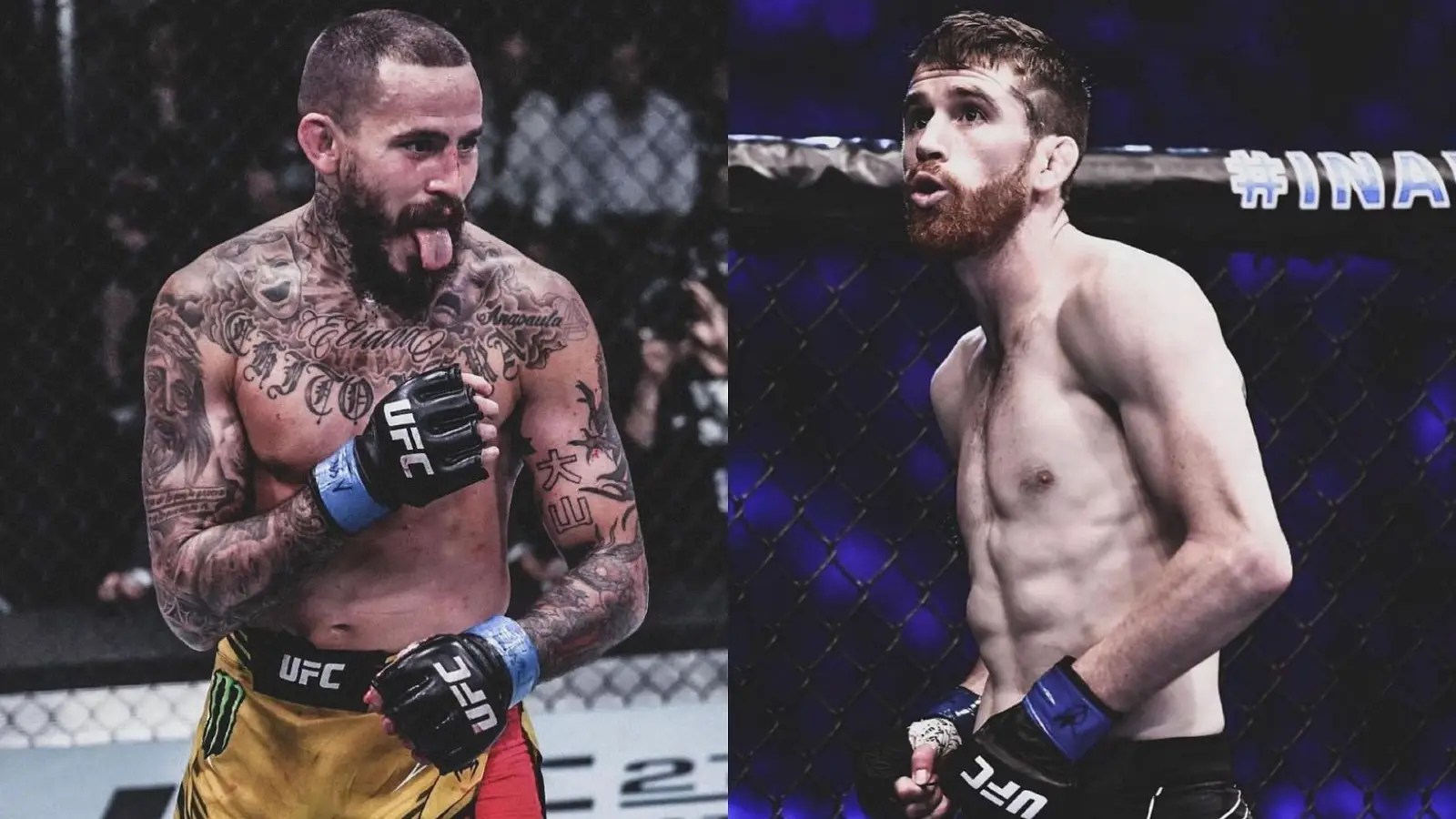 UFC: Vera vs Sandhagen Crackstream Alt: Where to watch Marlon Vera vs Cory  Sandhagen live? UFC