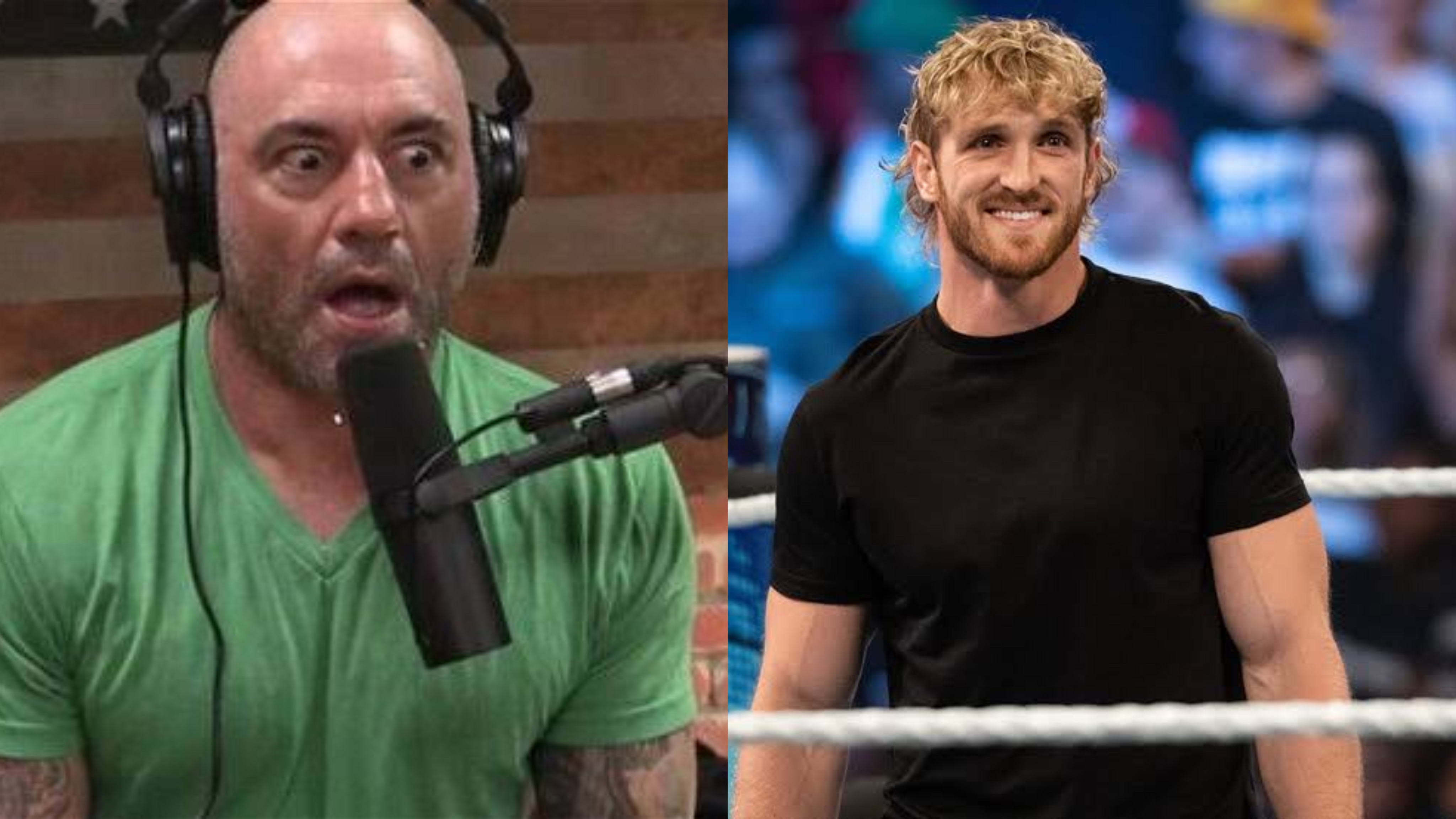 UFC: “I Thought Joe Rogan Was G*y’’ – US Comedian Reveals His Past ...