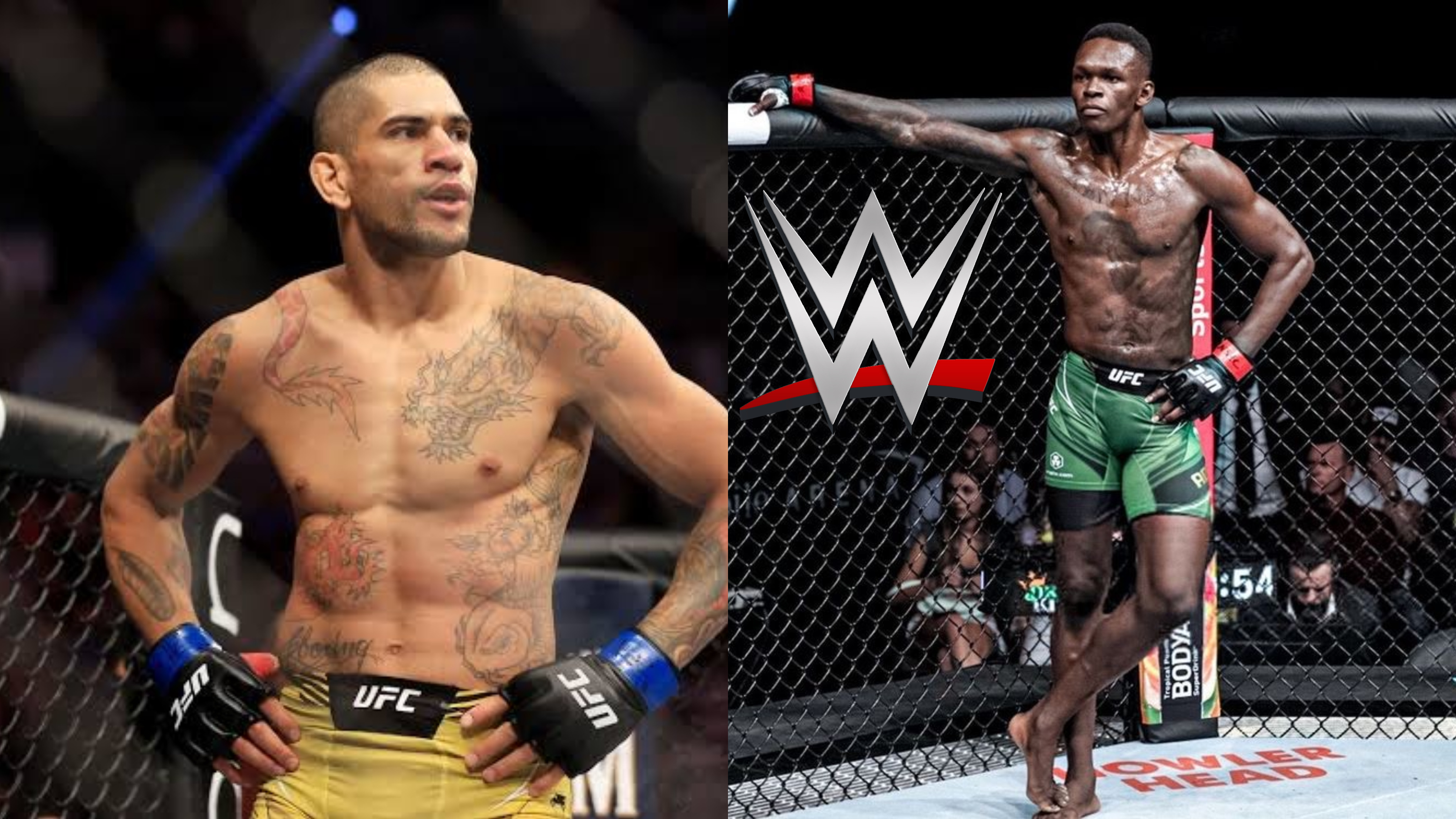 Israel Adesanya: Alex Pereira Accused of Programming a BOT Army against Champion Izzy, UFC fighter Frevola and Fans React- 'Hard Time With Math'