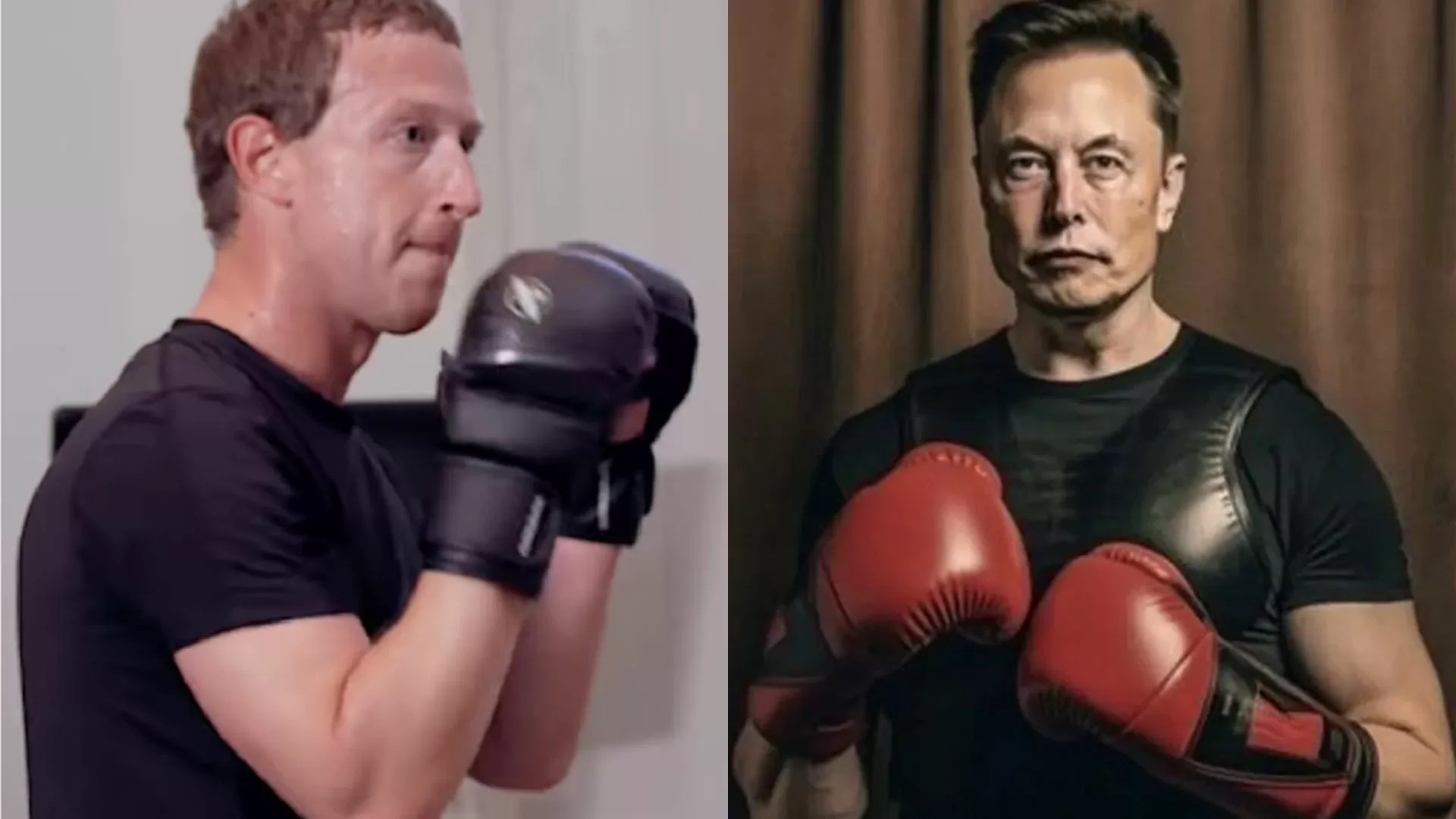 Mark Zuckerberg vs Elon Musk Facebook Founder Shuts Down UFC Fighter's