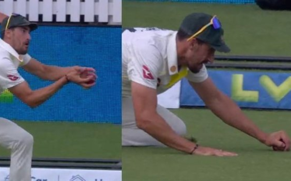 Mitchell Starc's 'Grounded' Catch Triggers Controversy. Here's Why It Was  Not Out. Watch