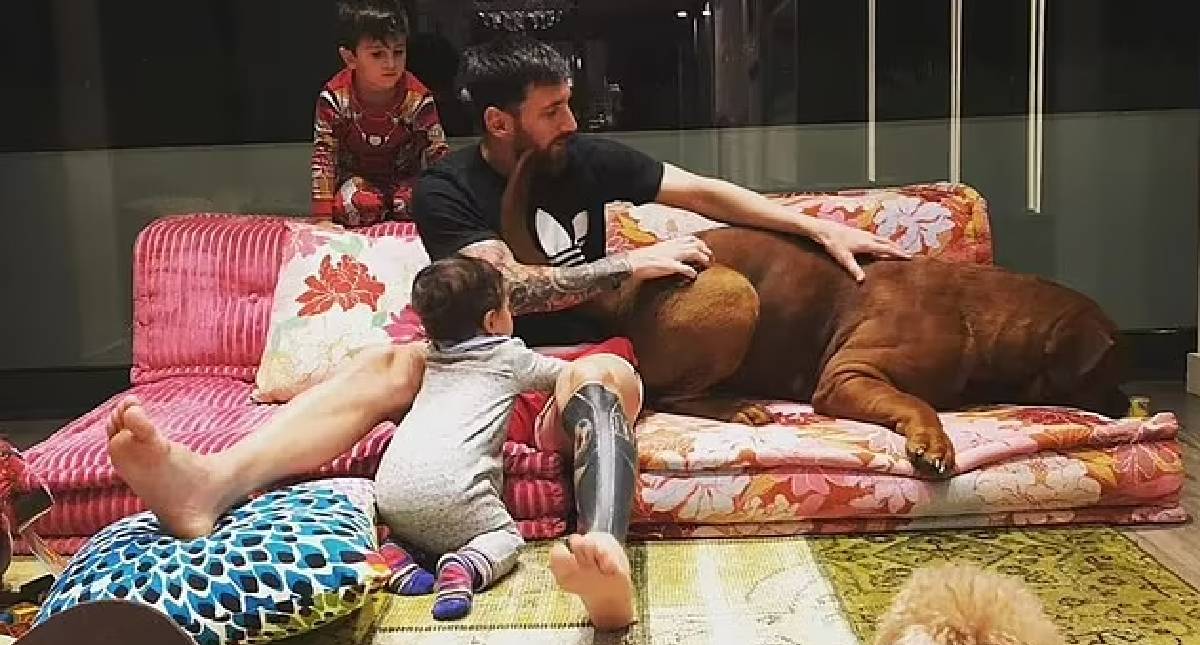 Animal Lovers Criticize Lionel Messi for Abandoning Pet Dog in Barcelona