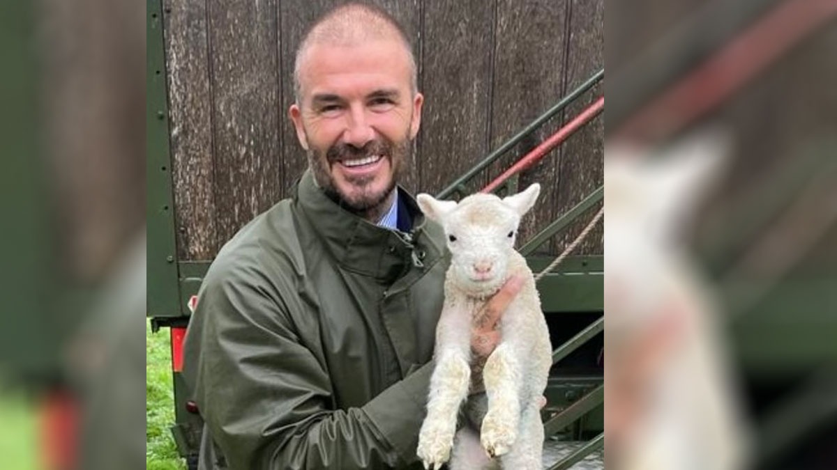 David Beckham’s Cute Goat Photo and Cheeky Message for Messi